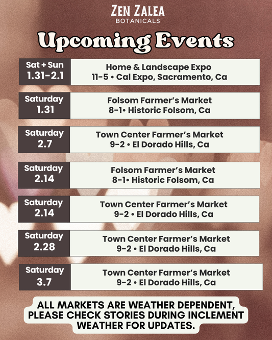 Upcoming Events Schedule